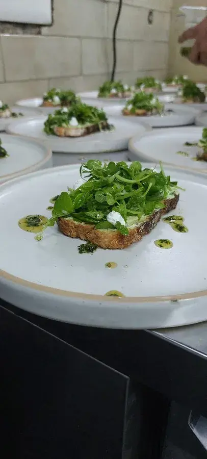 A row of identical plated starters ready for service.